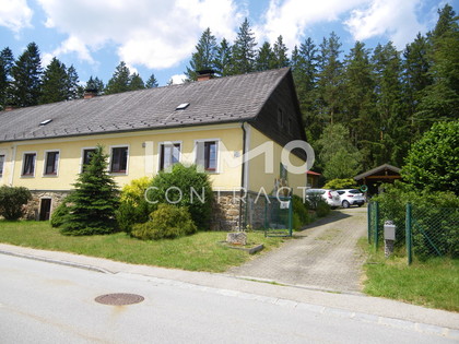 Häuser in 3871 Neu-Nagelberg