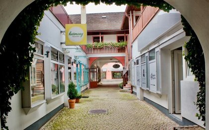 Wohnungen in 2620 Neunkirchen