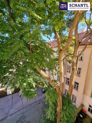 Jackpot - BESTPREIS! Komplett bestandsfrei + Baubewilligt + Traumhaftes Altbauhaus mit gegliedeter Fassade + Beliebte Lage in 1020 Wien in einer ruhigen Seitengasse + Balkone im Hof! WOW!