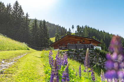 Häuser in 8970 Schladming