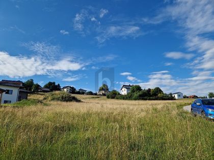 STRAHLEND SONNIGE AUSSICHTEN!