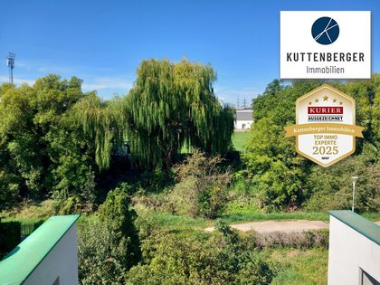 Wohnungen in 2020 Hollabrunn