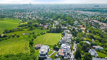 360°-Tour // Bellevue: großzügige 3-Zimmer-Gartenwohnung