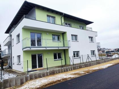 Neubau - Ertragshaus im Tullnerfeld  vollvermietet