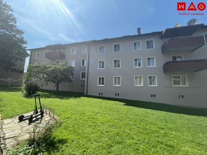 Wohnungen in 4910 Ried im Innkreis