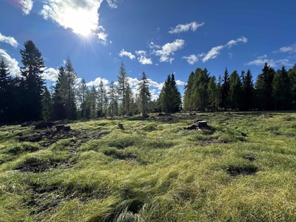 Grundstücke in 9571 Hochrindl