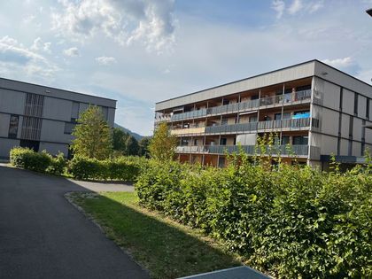 Geförderte 3-Zimmer-Mietwohnung in Graz-Reininghaus