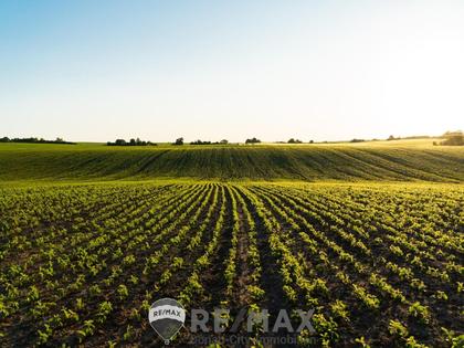 Land- / Forstwirtschaft in 2325 Himberg