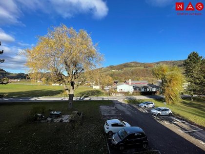 Wohnungen in 3160 Steinwandleiten