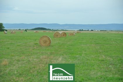 MODERNES, cooles Design, tolle Ausstattung - DURCHDACHTE Grundrisse für Ihren Wohntraum? PANNONIA SEEBLICK- immer Urlaubsfeeling!