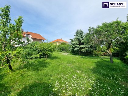 WOW! Erfüllen Sie Ihren Traum vom eigenen Haus! 8 Zimmer + Riesiger Garten + Viel Grün + Traumterrasse mit Fernblick! Mehr Lebensqualität - Mehr vom Leben! Jetzt zugreifen!