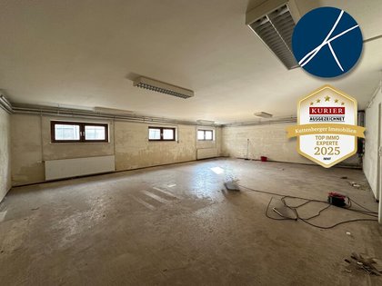 Hallen / Lager / Produktion in 3550 Langenlois