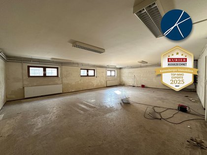 Hallen / Lager / Produktion in 3550 Langenlois