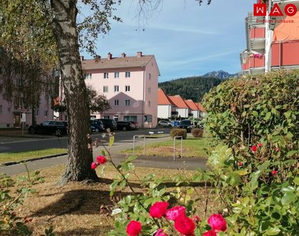 Günstige und gemütliche Kleinwohnung in Ruhelage!