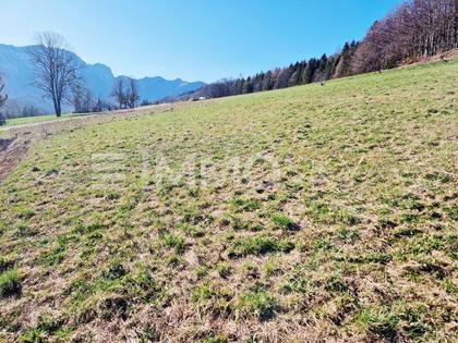 Blick auf die Kremsmauer - Ruhelage mit Urlaubsflair!