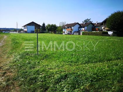 VIEL PLATZ FÜR IHRE TRÄUME: Baugrund ohne Bauzwang in Straßwalchen!