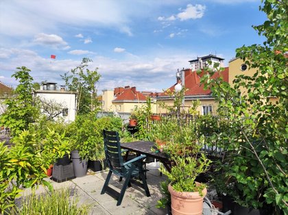 LOFTARTIGES WOHNEN -  Sonnige Gemeinschafts-Dachterrasse