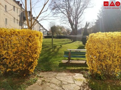 Zentral gelegene und charmante 2-Raum Wohnung im beliebten Stadtteil Bindermichl! Von Grünflächen und bester Infrastruktur umgeben!