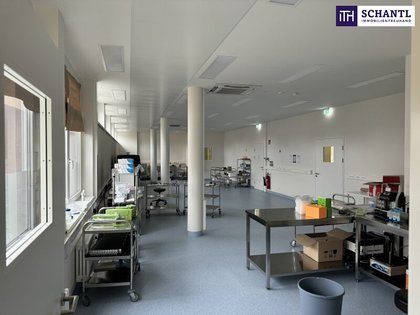 Topmoderne Laborfläche in Klagenfurt ? Perfekte Bedingungen für Forschung & Innovation! Topmoderne Laborfläche in Klagenfurt ? Perfekte Bedingungen für Forschung & Innovation!