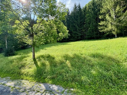 Grundstücke in 8962 Gröbming