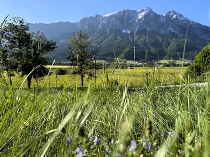 Grundstücke in 8960 Niederöblarn