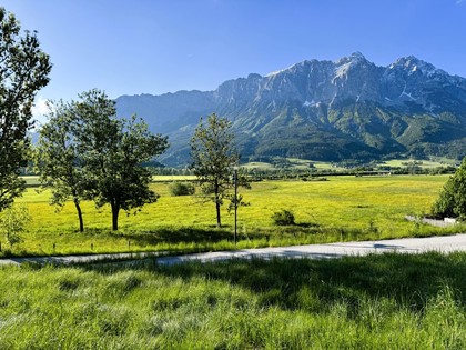 Grundstücke in 8960 Niederöblarn
