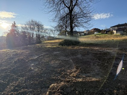 Grundstücke in 7203 Wiesen