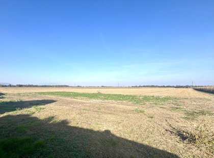 Sonniges Baugrundstück am Ende der Siedlungsstraße!