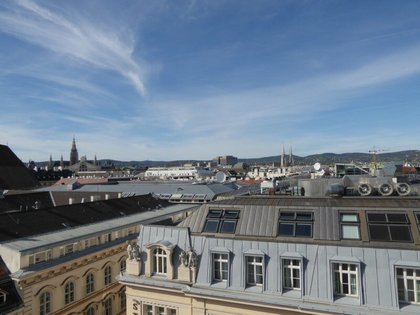 Wohnungen in 1010 Wien