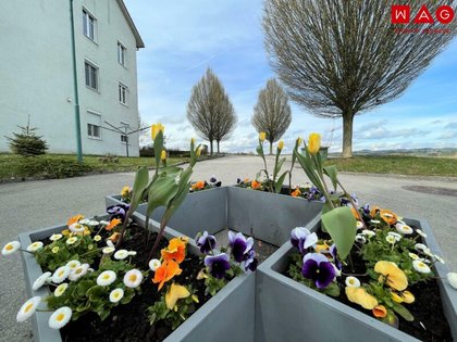 Sonstige in 4731 Prambachkirchen