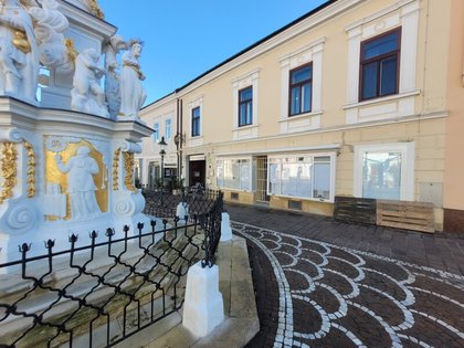 Einzelhandel / Geschäfte in 7000 Eisenstadt