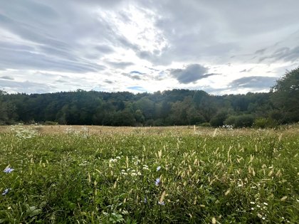 Grundstücke in 8430 Leibnitz