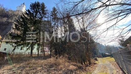 GRUNDSTÜCK IN SANKT PETER OB FREIENSTEIN