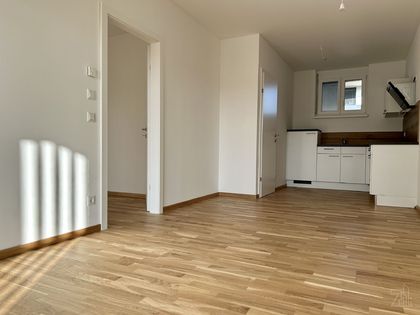 Charmante 2 Zimmer Wohnung mit Tiefgaragenparkplatz