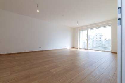 Wohnungen in 3250 Wieselburg-Land
