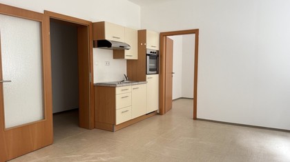 Wohnungen in 8900 Selzthal