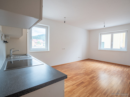 Wohnungen in 8967 Haus