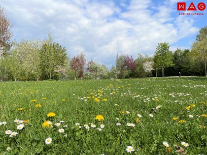Quartier am Park: Barrierefreie Wohnung im obersten Stock mit Ausblick