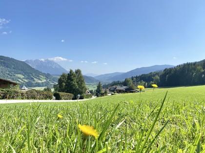 Grundstücke in 8965 Pruggern