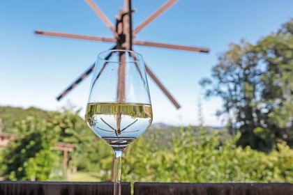 Wohnungen in 8472 Straß in Steiermark