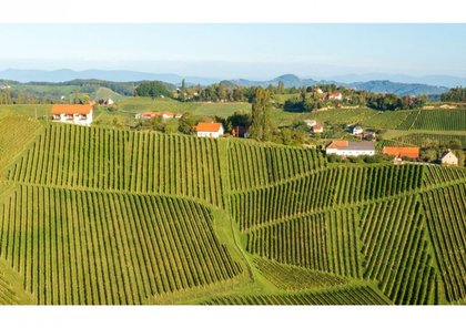 Wohnungen in 8472 Straß in Steiermark