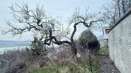 Häuser in 3652 Neu-Weinzierl