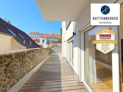 Moderne Terrassen-Wohnung im historischen Zentrum