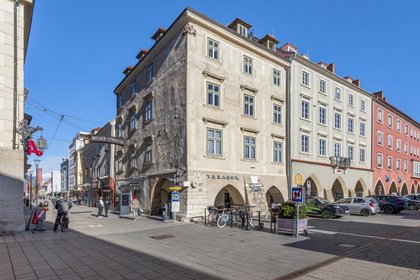 Büros /Praxen in 2700 Wiener Neustadt