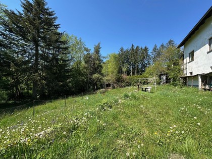 Grundstücke in 4111 Walding