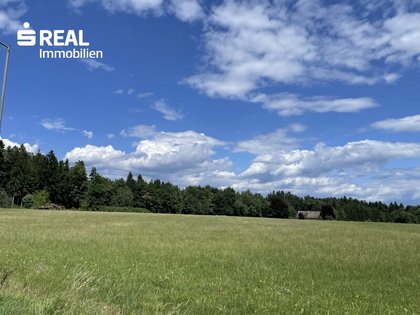 Grundstücke in 8501 Lieboch