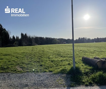 Grundstücke in 8501 Lieboch