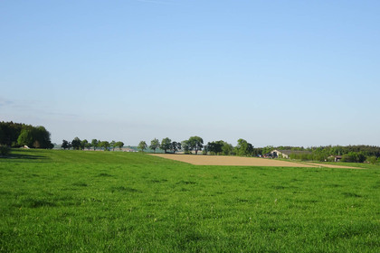 Land- / Forstwirtschaft in 3351 Weistrach