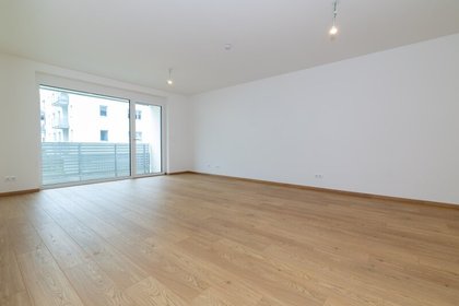 Wohnungen in 3250 Wieselburg-Land