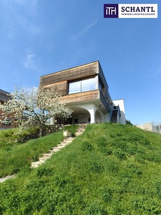 Häuser in 7072 Mörbisch am See